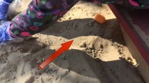 ДЕТСКИЙ КВЕСТ НА ПРИРОДЕ ПО ПОИСКУ ПОДСКАЗОК#КВЕСТ НА УЛИЦЕ/ИДЕЯ КВЕСТА ДЛЯ ДЕТЕЙ