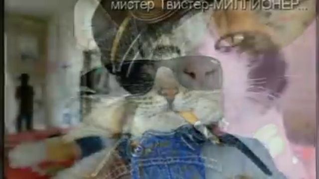 Крутые картинки котов-кошек смотреть онлайн