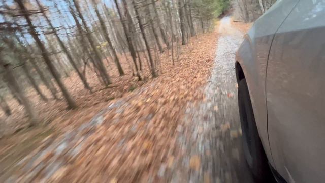 EXPLORING AND CAMPING CROWN LAND IN CANADA смотреть онлайн