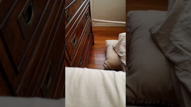 mortal Kombat 1 rules смотреть онлайн