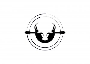 Bizorus. Проект по развитию penspinning / пенспиннинга