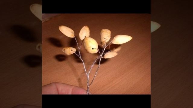 Как сделать дерево из скорлупы от фисташек смотреть онлайн