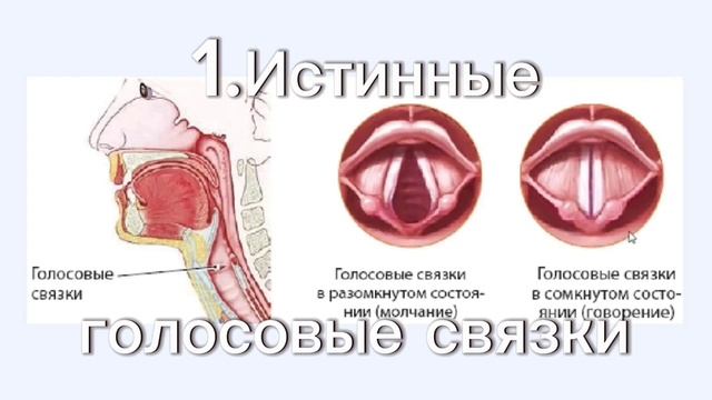 Что такое EVT? Обзор Estill voice training.13 фигур метода и 6 голосовых качеств. смотреть онлайн
