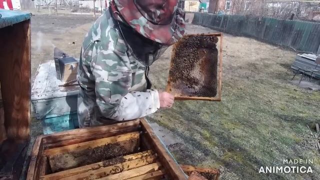 На пасеке у начинающего пчеловода Первые потери смотреть онлайн