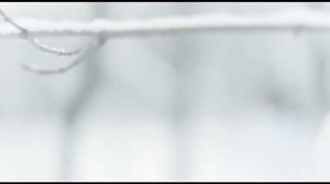 Ильгиз Абдрахманов - йорагем тиба