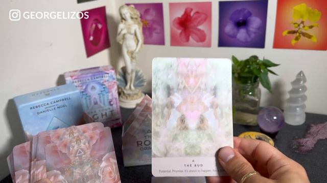 The Rose Oracle Cards Review ? | Rebecca Campbell (Hay House) смотреть онлайн