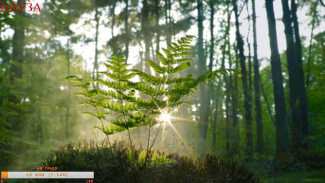 стрим у GOShetBrokTV))) часть №8 смотреть онлайн