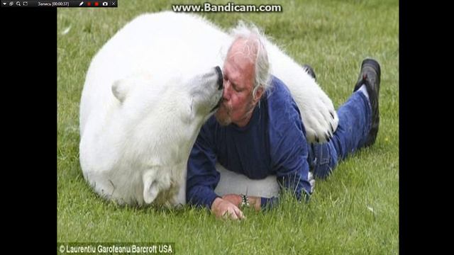 топ 10 самых больших животных:)! смотреть онлайн