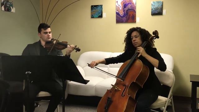 The Song From A Secret Garden For Violin Cello Duo
