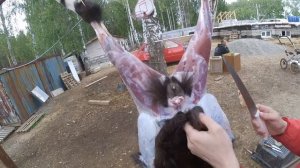 Как разделать козу ?