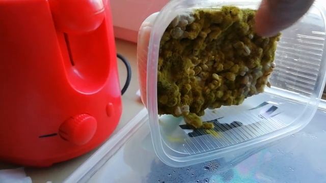 VID 20190212 140933 смотреть онлайн