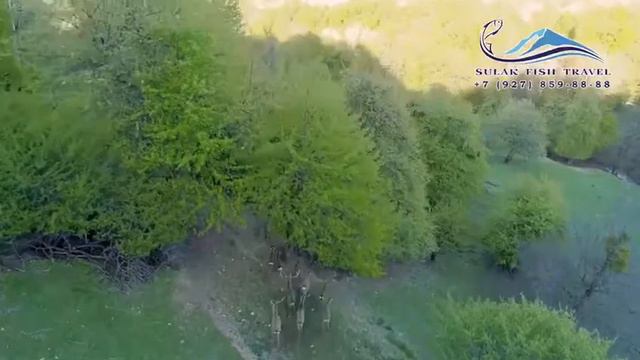 Алмакский Заповедник / Almakskiy Zapovednik смотреть онлайн