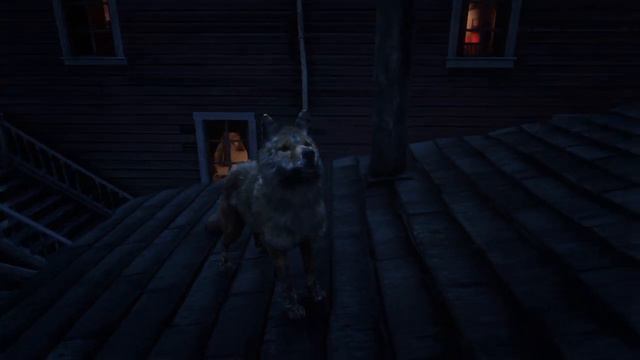 RDR 2 Cute roof coyote hangout spot смотреть онлайн