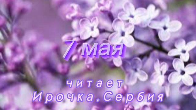 7 Мая - Счастливая медитация смотреть онлайн