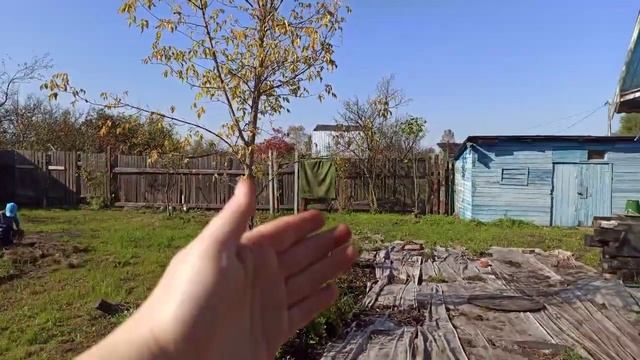 Что с дачей?Куда мы пропали?Почему не снимаем??? смотреть онлайн