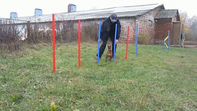 MVI 5829 смотреть онлайн