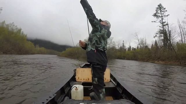 Рыбачим и сохраняем рыбу живой. Хариус. Река Хор. смотреть онлайн