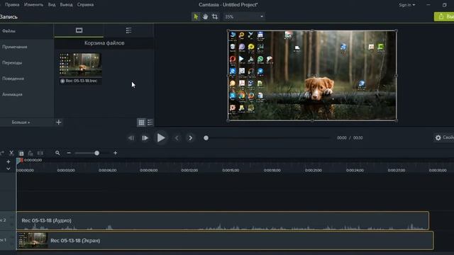 Как записать видео с экрана программой Camtasia Studio 9.1.1 смотреть онлайн