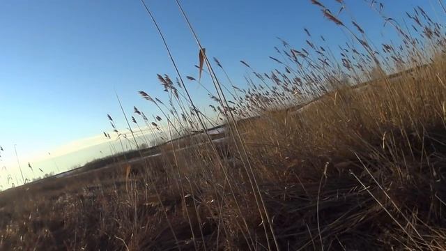 Утиная охота - Охота есть охота смотреть онлайн