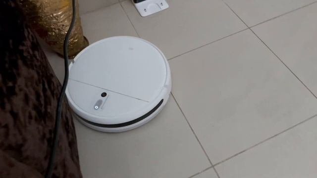 Review Xiaomi Mijia 1C | Robot Vacuum Cleaner and Mop for Budget Price | STYTJ01ZHM | Expat World смотреть онлайн