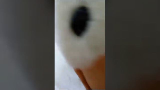 какой ты гусь-обнимусь часть 1 #гусьобнимусь смотреть онлайн