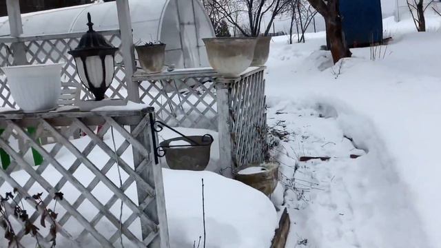 Всходы Помидоров 2022/Конец Февраля в Деревне/ смотреть онлайн