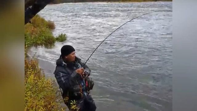 Вторая поездка в верховья реки Ингода , Ушмун , сплав , рекордный Ленок 09.09.21 смотреть онлайн