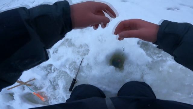 Крупная Форель на Резину/Ловля Форели Зимой/Ловим на Ратлины смотреть онлайн