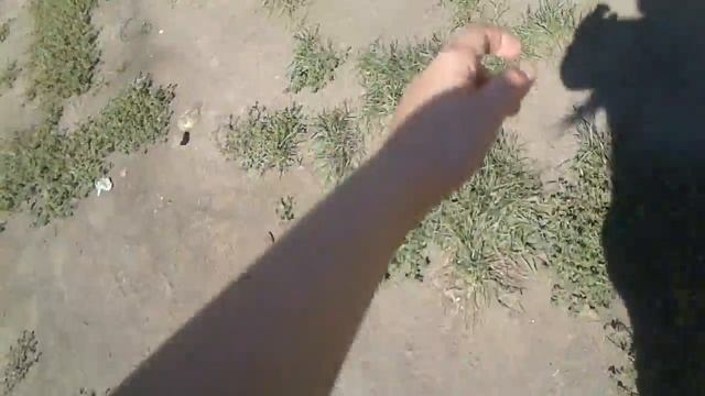 НОВОЕ ИМЯ РЫБКИ/ВЛОГ НА РЕКЕ "КУРЕНГА"/РЫБКА ТОСЯ смотреть онлайн