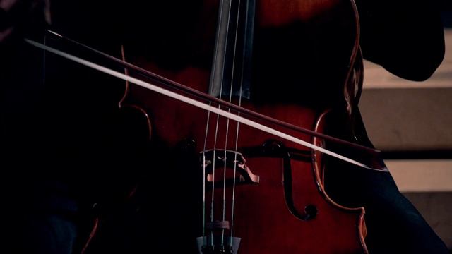 Tomasz Daroch & MORPHING CHAMBER ORCHESTRA - A. Dvorak Silent woods No. 5 Op. 68 смотреть онлайн