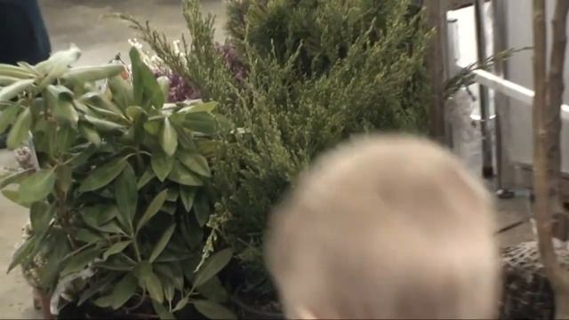 Ландшафтная архитектура. Флористика - 2012 №35