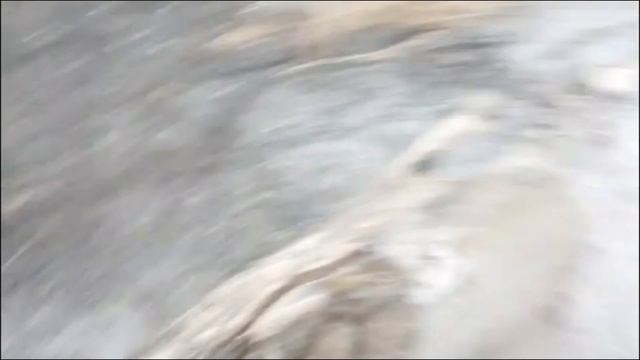 Тушим лес, район Тополевки Томская обл. Николай Былин. @Pavel_SIBERIA смотреть онлайн