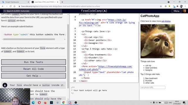 Изучаем HTML на freecodecamp Урок 17 Add a Submit Button to a Form смотреть онлайн