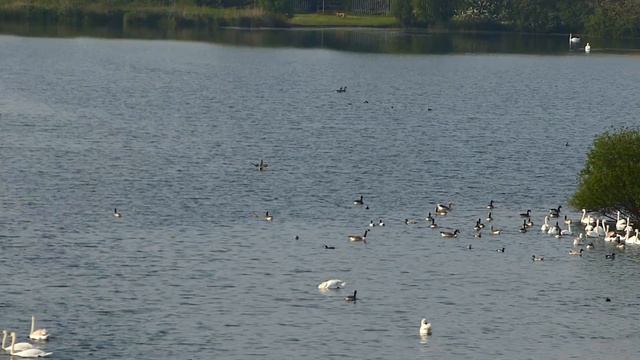 Panasonic FZ150 Zoom смотреть онлайн