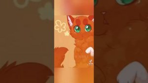 Коты воители [подборка из тик тока] #2