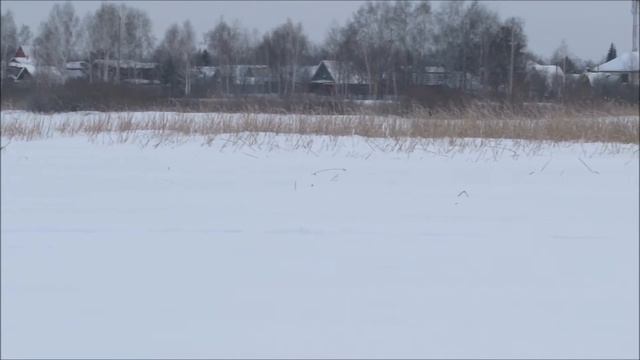 Рыбалка на Андреевском озере смотреть онлайн