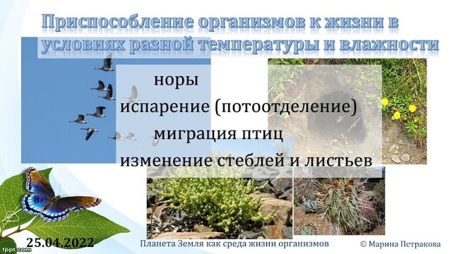 5 класс. Урок 26 апреля 2022 года смотреть онлайн