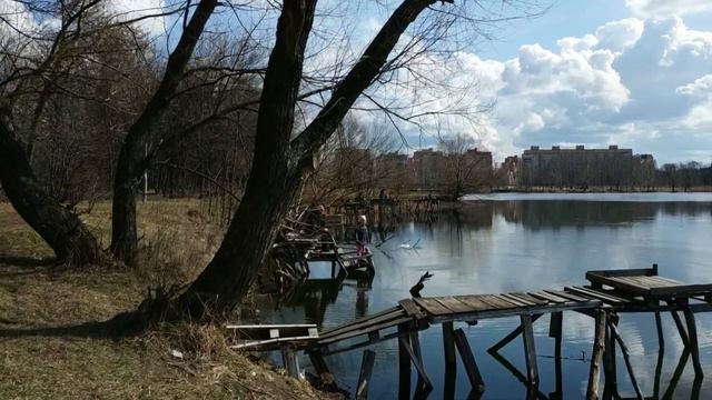 Сумы. Озеро Чеха. Часть 1. Жемчужина природы. смотреть онлайн