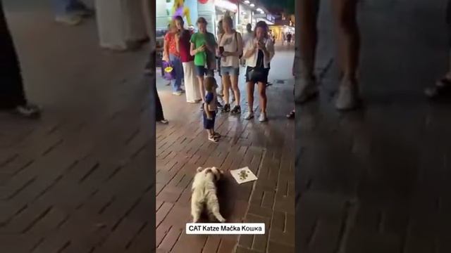 Лучшая работа в мире смотреть онлайн