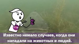 ЛАБЫНКЫРСКИЙ ЧЕРТ. Кто же он на самом деле?