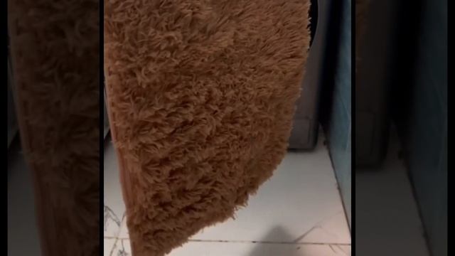 Пушистый коврик в ванную смотреть онлайн