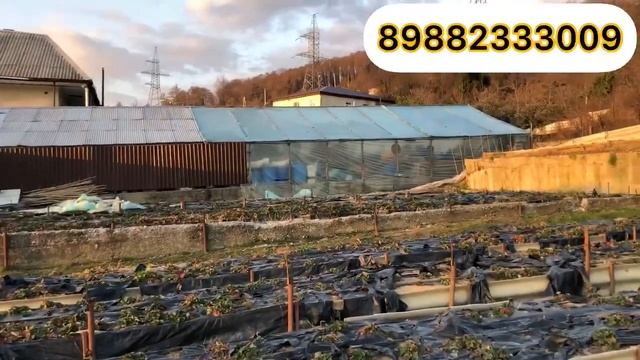 Шикарный участок для постройки коттеджного посёлка. |Агентство Недвижимости Дом в Сочи|16+|104 смотреть онлайн