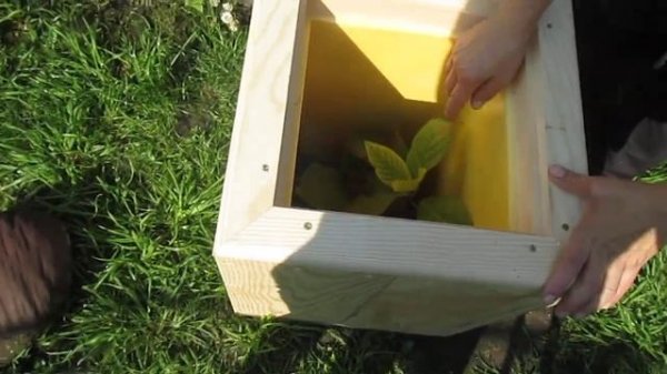 ВЛОГ/ ЯЩИКИ ДЛЯ ГОРТЕНЗИИ И МОЙ ЭКСПЕРИМЕНТ ,.https://ok.ru/feed?st.cmd=userMain