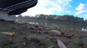 рыбалка на кубани рыбалка краснодарский край рыбалка на реке кубань рыбалка в краснодарском крае