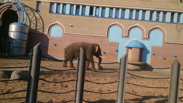 В Москве смотреть онлайн