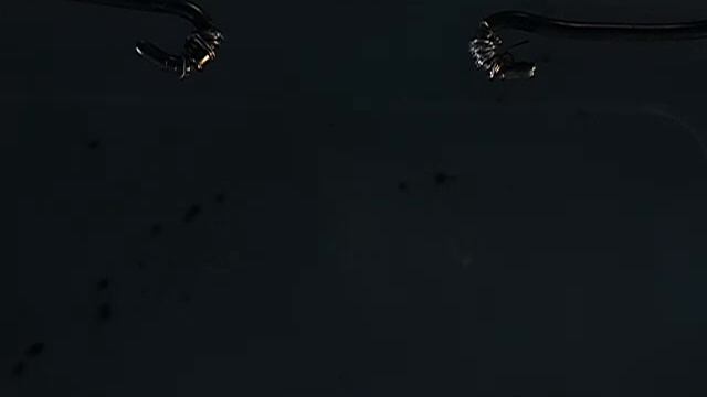 Электровзрыв кристаллов KH2PO4 (P1140610) смотреть онлайн