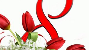 8—Март табриги