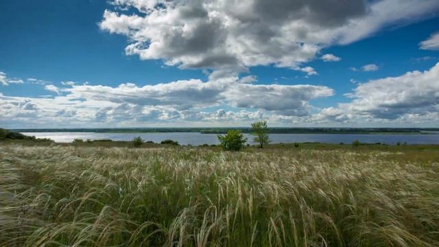 Ермаки ковыль1 смотреть онлайн