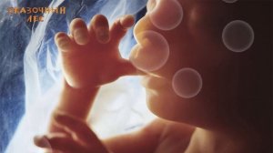 Звуки в утробе матери.  СЕРДЦЕБИЕНИЕ матери.  Звуки для сна.