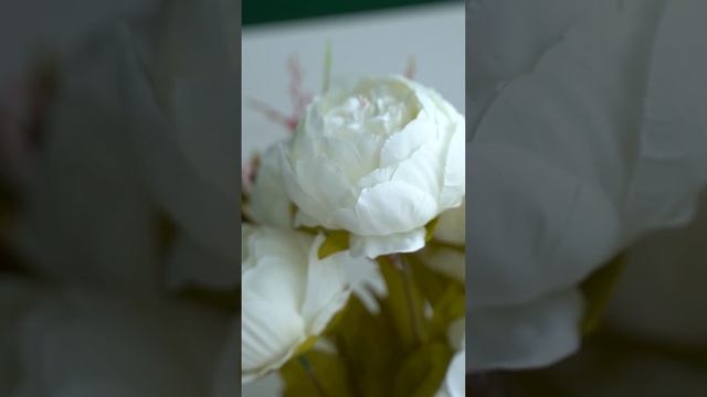 Laser Love Krd  Достоевского 84/1